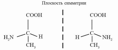Удивительная палеонтология. История земли и жизни на ней - i_019.png