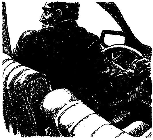 Инопланетянин (сборник) - pic_5.png