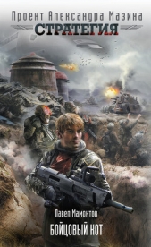 Бойцовый кот - автор Мамонтов Павел Александрович 