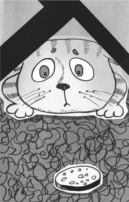 Тесты для вашего кота. Измерь IQ домашнего любимца и пойми его психотип - i_010.jpg