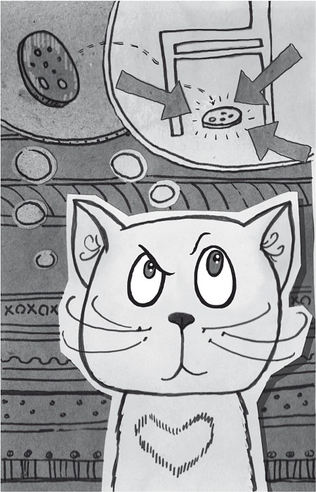 Тесты для вашего кота. Измерь IQ домашнего любимца и пойми его психотип - i_013.jpg