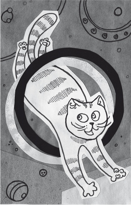 Тесты для вашего кота. Измерь IQ домашнего любимца и пойми его психотип - i_015.jpg