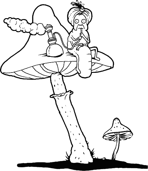 Книга всеобщих заблуждений - i_002.png