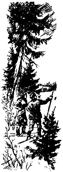 Конец «Графа Монтекриста» - pic_9.png