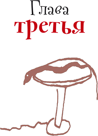 Прелестные приключения (илл. И. Волковой) - i_011.png