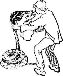 Змееловы (с иллюстрациями) - img_13.jpeg