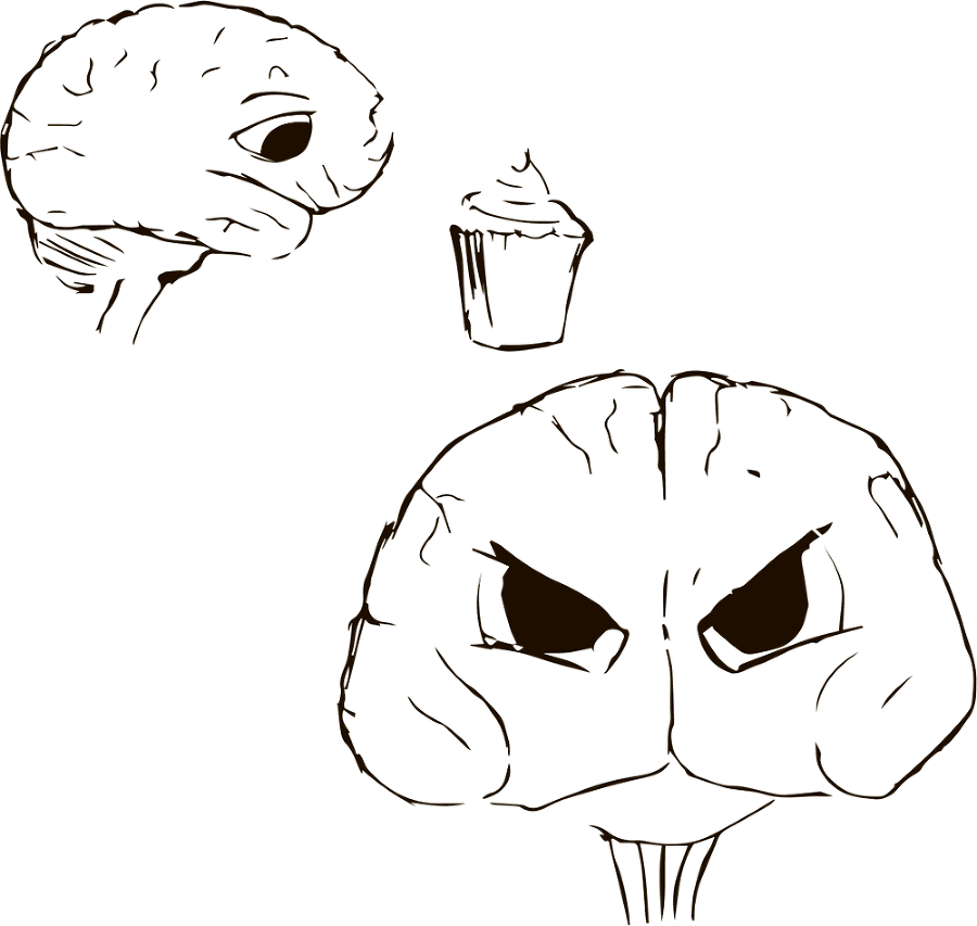 Кто бы мог подумать! Как мозг заставляет нас делать глупости. - i_007.png