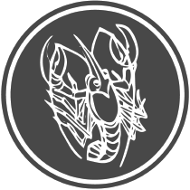 Рак. Любовный прогноз на 2014 год - _00_.png