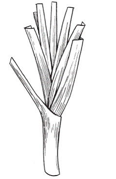 Всё о специях - i_001.png