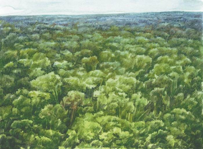 Географические открытия - i_022.jpg