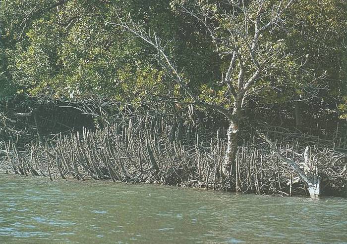 Географические открытия - i_033.jpg