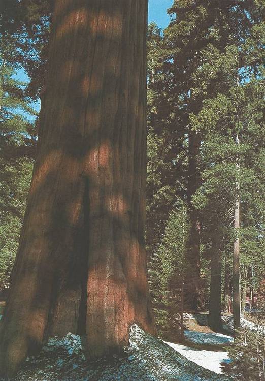 Географические открытия - i_037.jpg