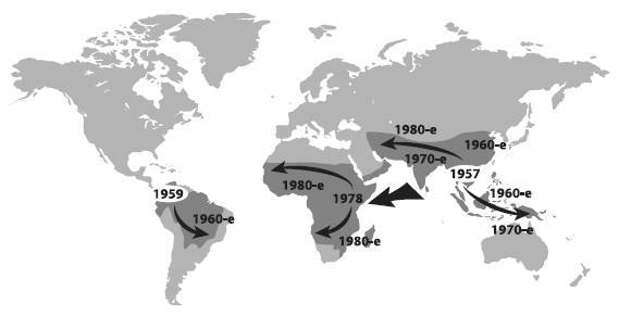 Эволюция кооперации и альтруизма: от бактерий до человека - i_009.jpg