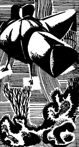 Гомо акватикус - i_010.jpg