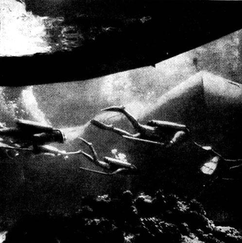 Гомо акватикус - i_011.jpg