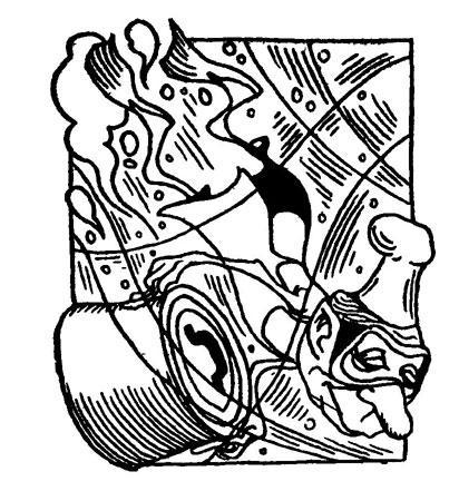 Гомо акватикус - i_020.jpg