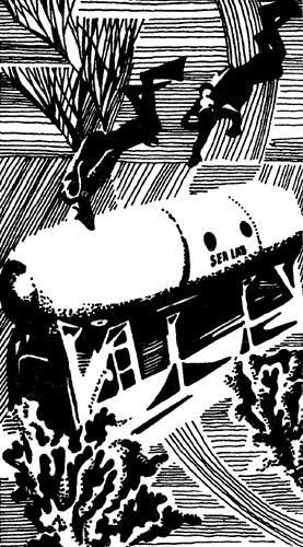 Гомо акватикус - i_023.jpg