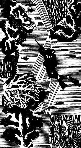 Гомо акватикус - i_082.jpg