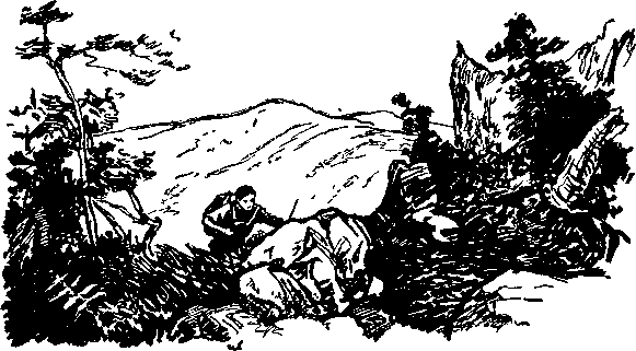 Коштовний камінь - doc2fb_image_03000002.png