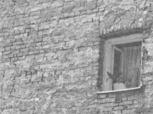 Життя Марії - i_017.jpg