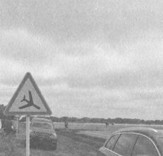 Життя Марії - i_037.jpg