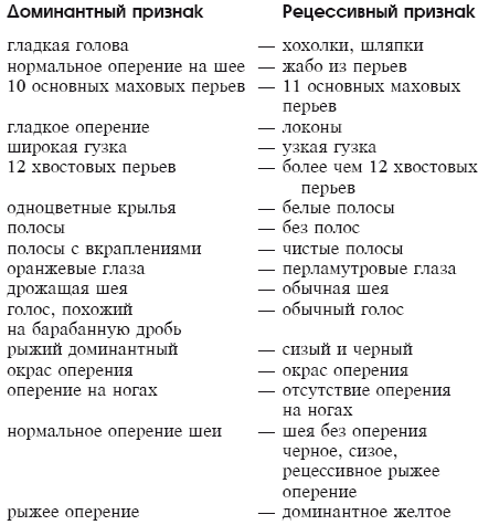 Мясные голуби и домашнее голубеводство - i_006.png