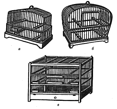 Попугаи от А до Я - i_006.png