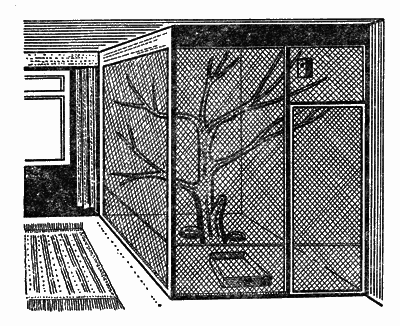 Попугаи от А до Я - i_007.png