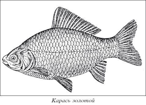 Разведение рыбы, раков и домашней птицы - i_007.jpg