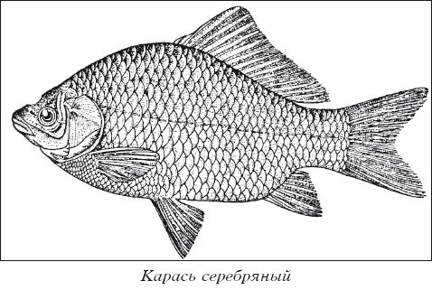 Разведение рыбы, раков и домашней птицы - i_008.jpg