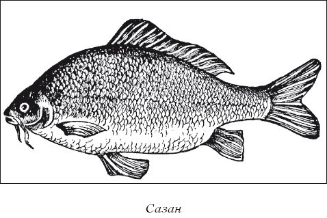 Разведение рыбы, раков и домашней птицы - i_013.jpg