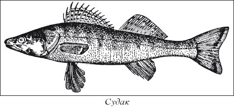 Разведение рыбы, раков и домашней птицы - i_015.jpg