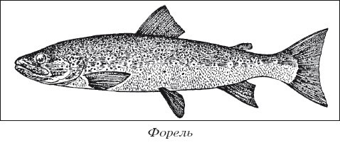 Разведение рыбы, раков и домашней птицы - i_017.jpg