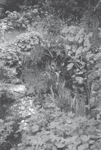 Современный справочник фермера и садовода - i_089.jpg