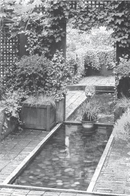 Современный справочник фермера и садовода - i_092.jpg