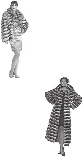 Шиншилла от А до Я - i_004.png