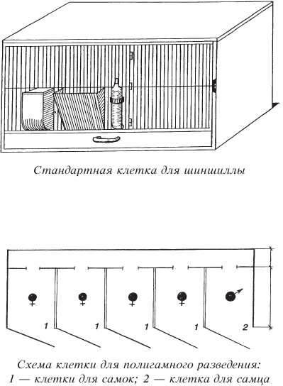 Шиншилла от А до Я - i_016.png