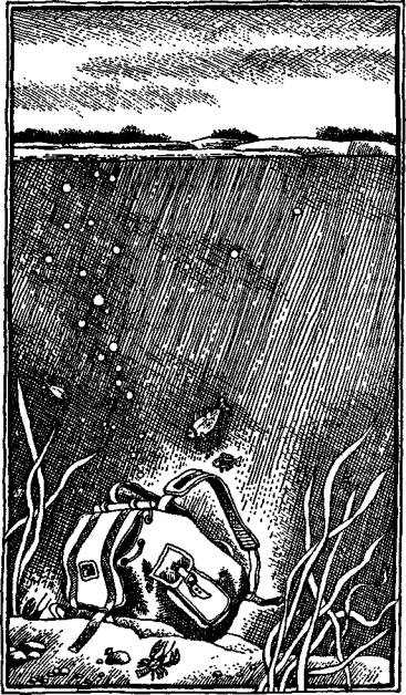 А,Б,В,Г,Д… И другие (С иллюстрациями) - i_011.jpg