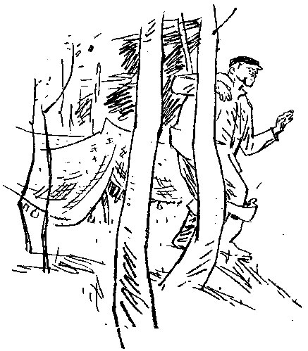 Повесть об Атлантиде и рассказы - pic_45.png