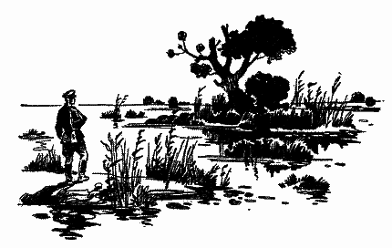 Дунайські ночі - i_003.png