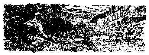 Над Тиссой (илл. Б. Козловского) - pic_3.png