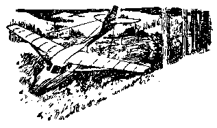 Над Тиссой (илл. Б. Козловского) - pic_26.png