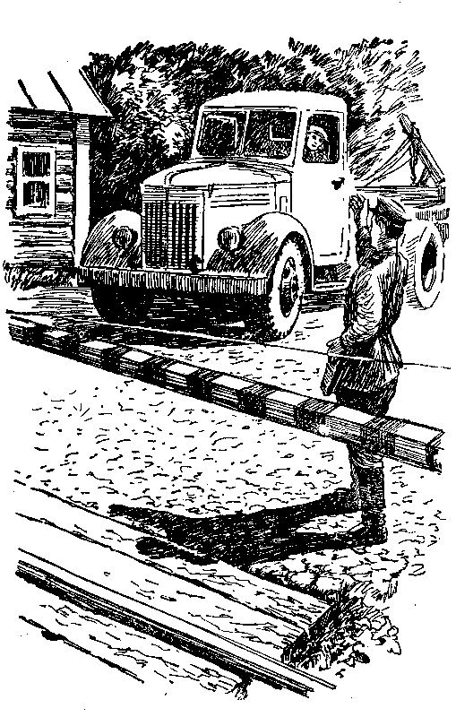 Над Тиссой (илл. Б. Козловского) - pic_32.png