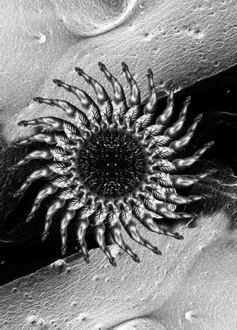 Трохи пітьми - _1.jpg