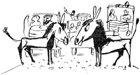 Солнце в декабре - i_022.jpg