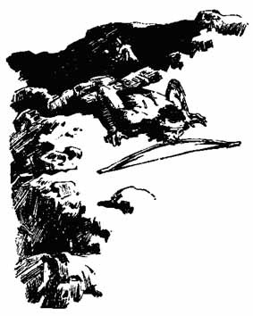 Ошибка Одинокого Бизона - _6.jpg