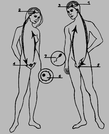 Как говорить с сыном. Самые сложные вопросы. Самые важные ответы - _014.png