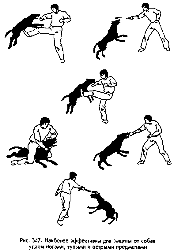 Боевая Машина: Руководство По Самозащите — 3 - any2fbimgloader5.png