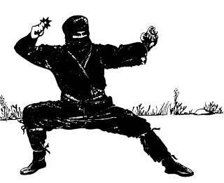 Воины-тени: Ниндзя и ниндзюцу - _02.jpg