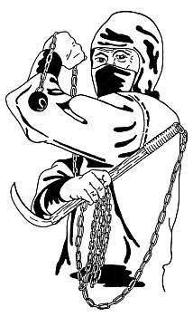 Воины-тени: Ниндзя и ниндзюцу - _15.jpg